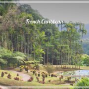 Balata Gardens in Martinique