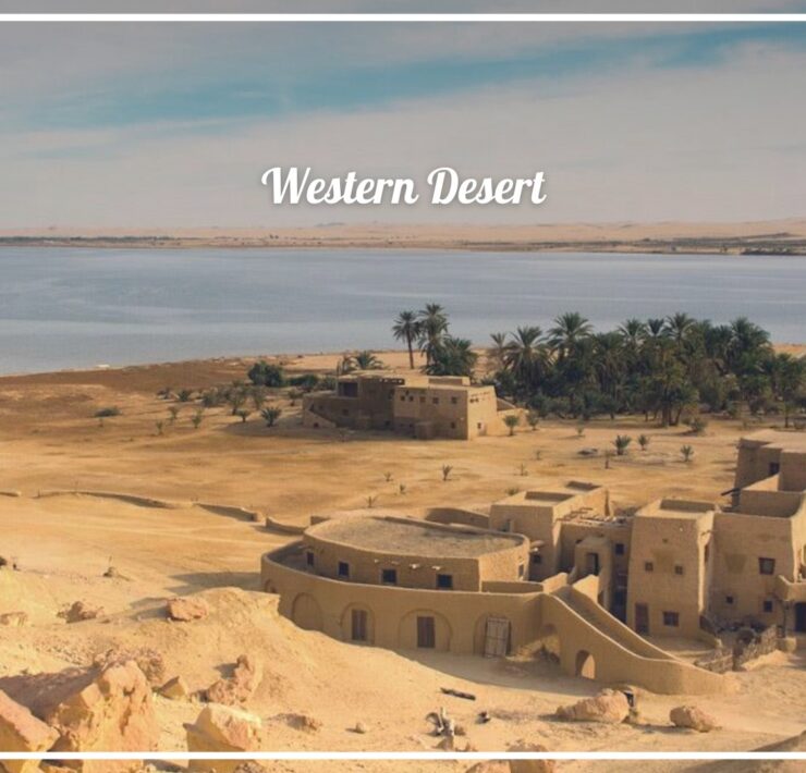 Siwa Oasis, The Hidden Gem of Egypt