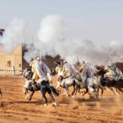 15 Of the Finest and Best Horse Racing